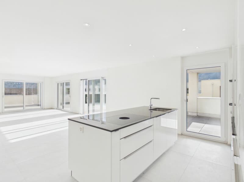 Einmalige Attika-Kaufgelegenheit - 197 m² Panoramaterrasse & 2 TG-Plätze inklusive (9)