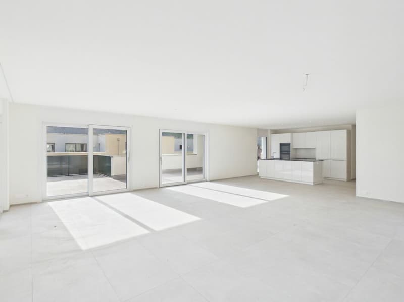 Einmalige Attika-Kaufgelegenheit - 197 m² Panoramaterrasse & 2 TG-Plätze inklusive (12)