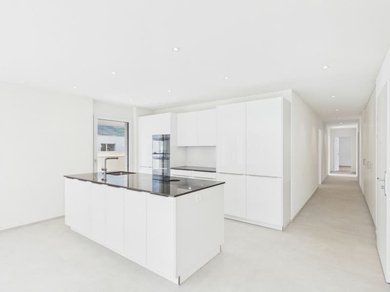 Einmalige Attika-Kaufgelegenheit - 197 m² Panoramaterrasse & 2 TG-Plätze inklusive (8)