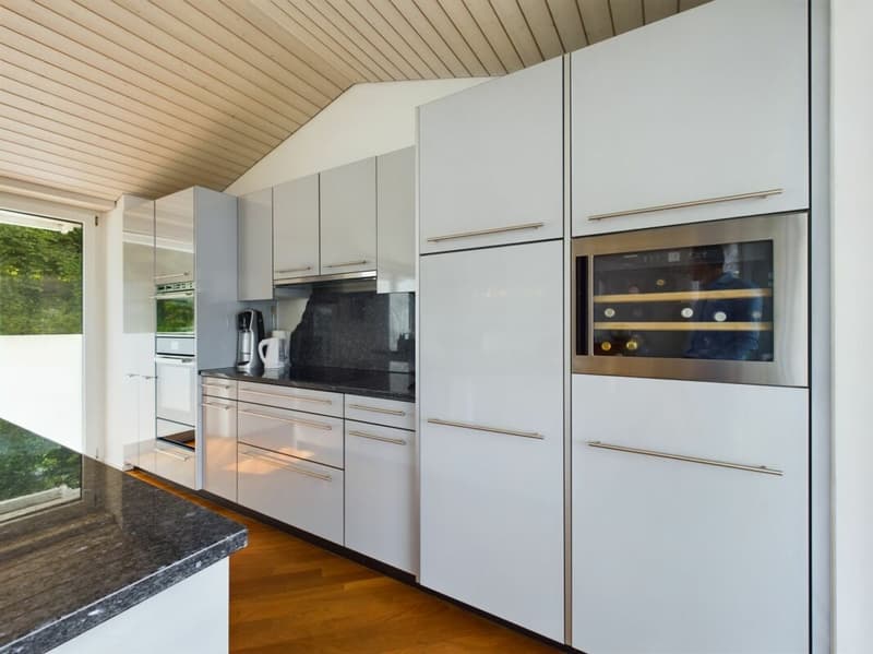 Seejuwel am Zürichsee - Haus in Thalwil (2)