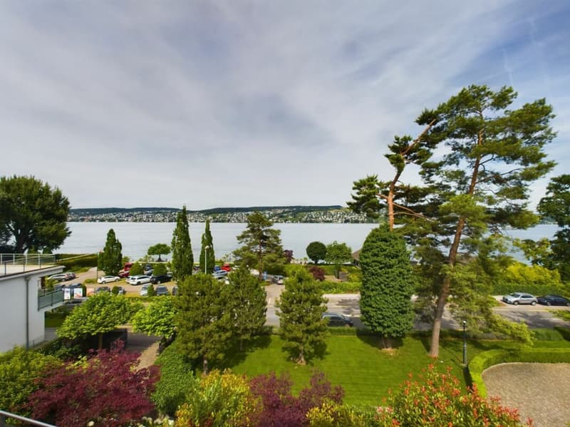 Seejuwel am Zürichsee - Haus in Thalwil (14)