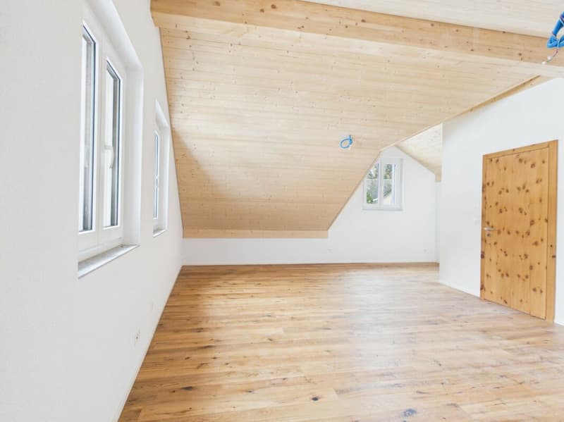 Exklusives Zweihaus-Anwesen mit vier Garagenplätzen und historischem Gewölbekeller in Churwalden (24)