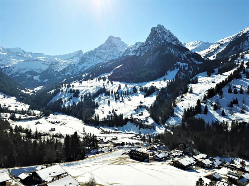 Traumwohnung mit Panoramablick im Kiental (10)