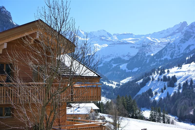 Traumwohnung mit Panoramablick im Kiental (11)