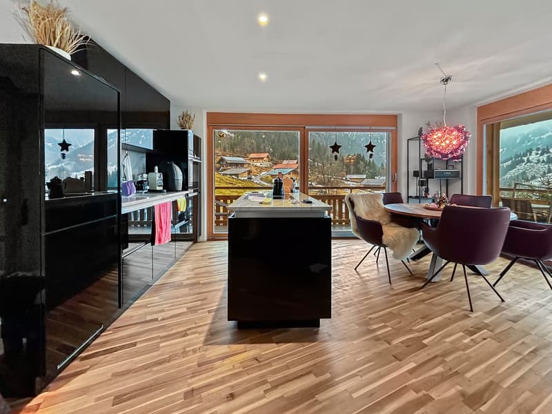 Traumwohnung mit Panoramablick im Kiental (2)