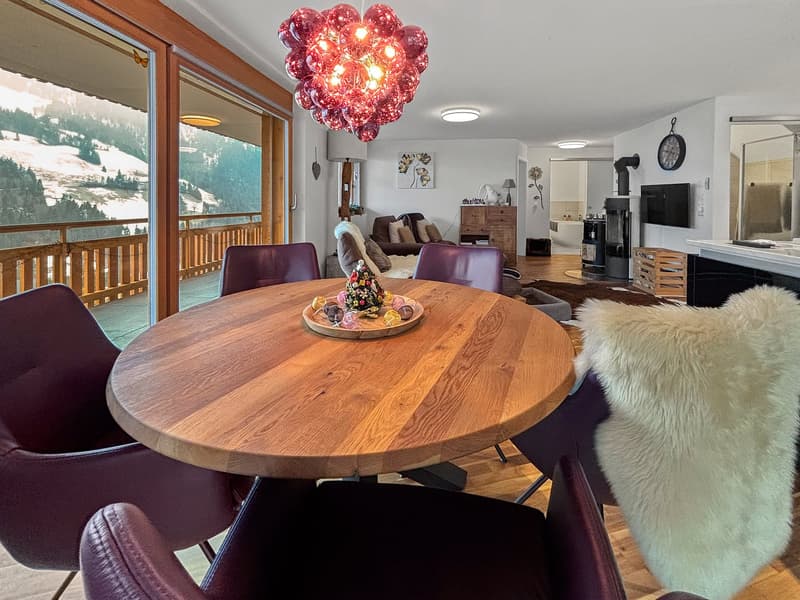 Traumwohnung mit Panoramablick im Kiental (3)