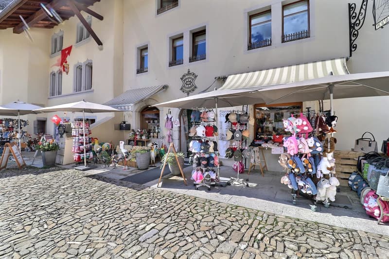 Splendide immeuble historique du 15? siècle avec local commercial et appartements (4)