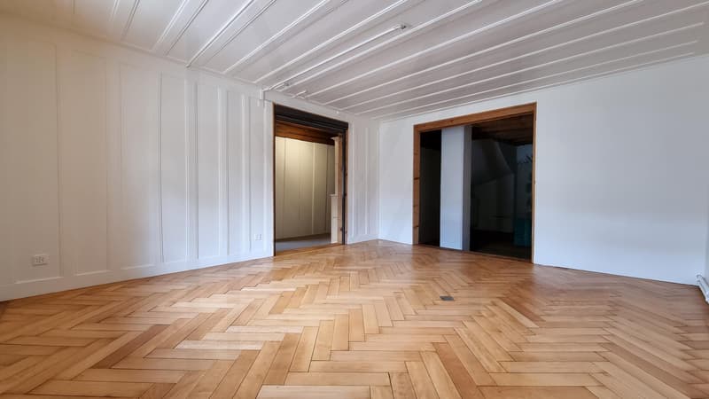 Splendide immeuble historique du 15? siècle avec local commercial et appartements (10)
