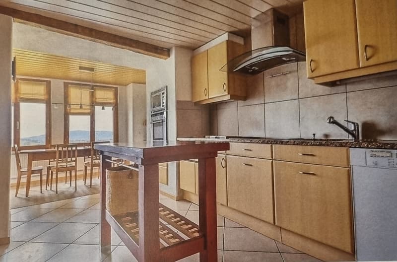 Splendide immeuble historique du 15? siècle avec local commercial et appartements (12)