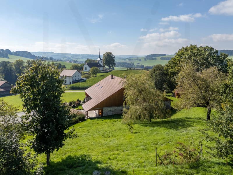 Ferme exceptionnelle de caractère entièrement rénovée au coeur de la campagne fribourgeoise (3)
