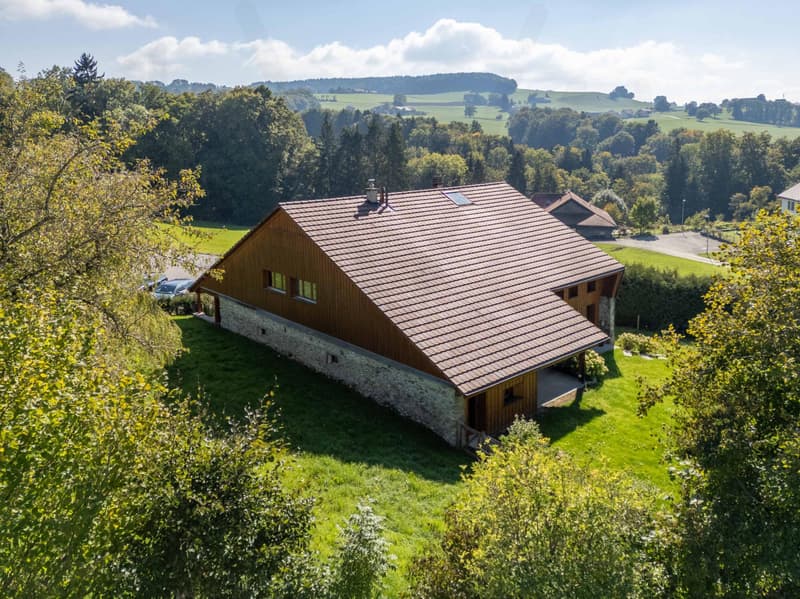 Ferme exceptionnelle de caractère entièrement rénovée au coeur de la campagne fribourgeoise (8)