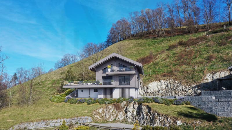 Un havre de paix au coeur de la nature ? Chalet d'exception avec vue imprenable sur le lac et les montagnes ! (3)