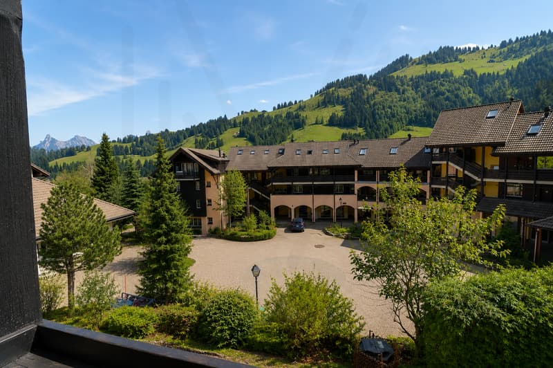 Appartement de 2 pièces : charme et confort au coeur du Village ! (8)