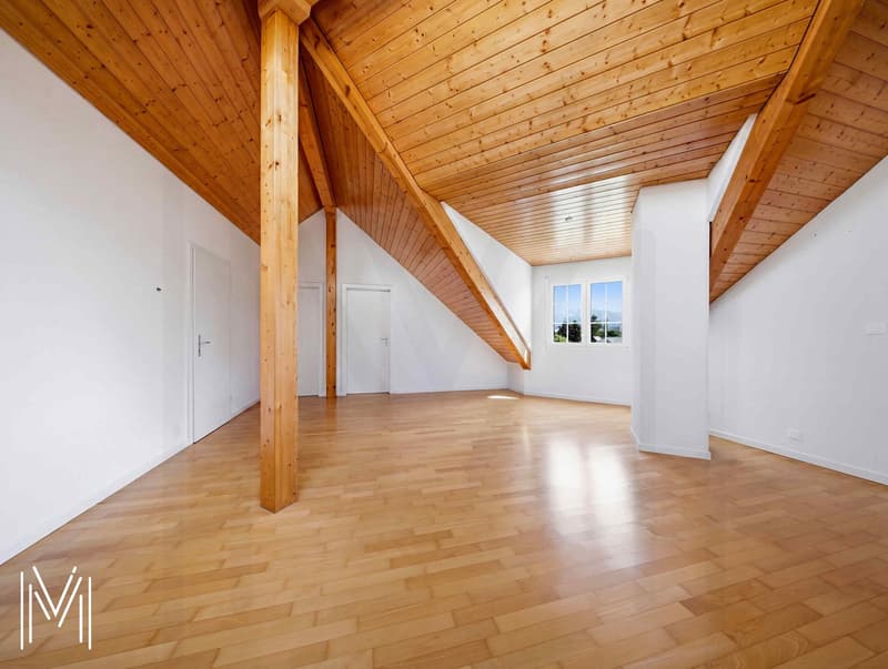 Villa d'exception de 6,5 pièces dans un quartier calme résidentiel avec vue exceptionnelle ! (12)