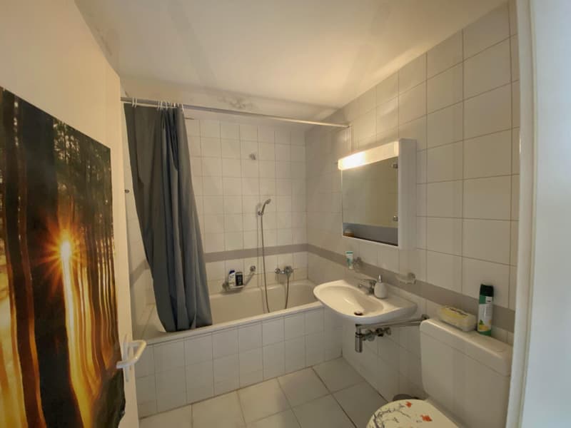 Appartement 4,5 pièces au dernier étage (10)