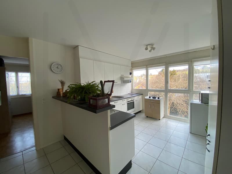 Appartement 4,5 pièces au dernier étage (4)