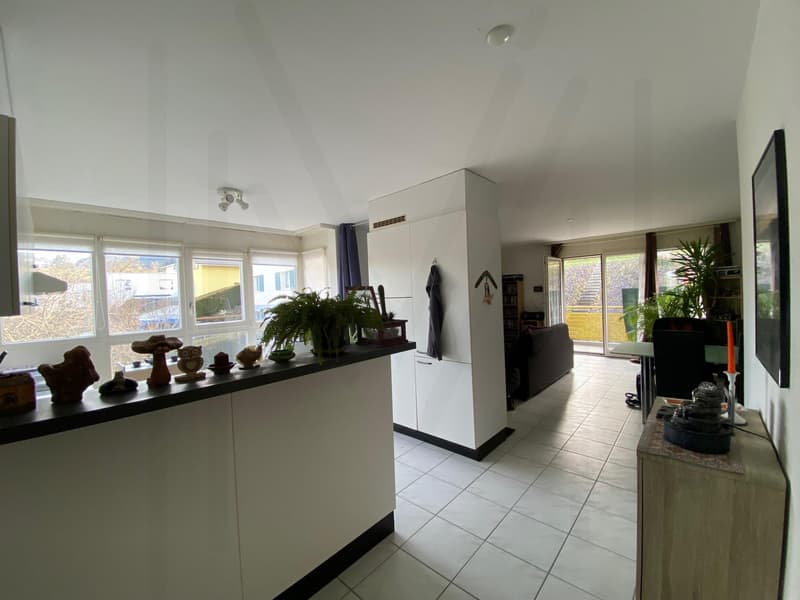 Appartement 4,5 pièces au dernier étage (7)