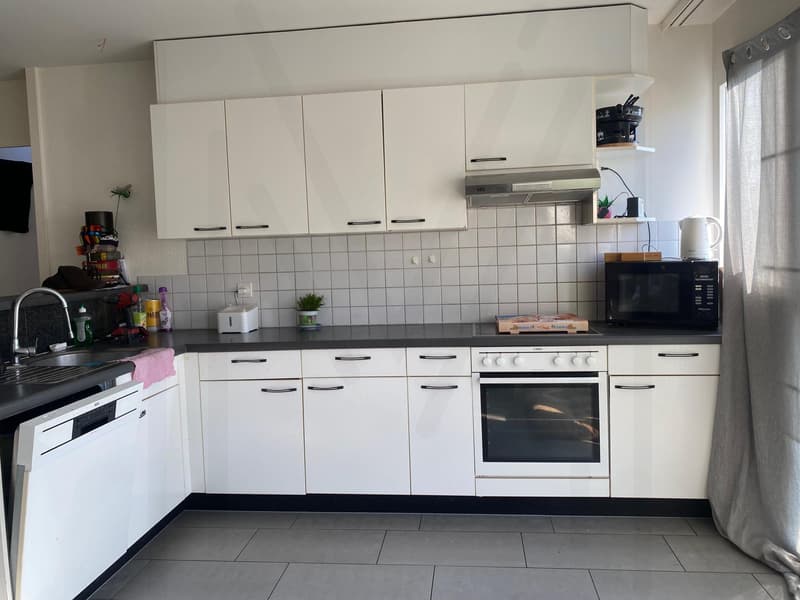 Appartement 4,5 pièces au dernier étage (5)
