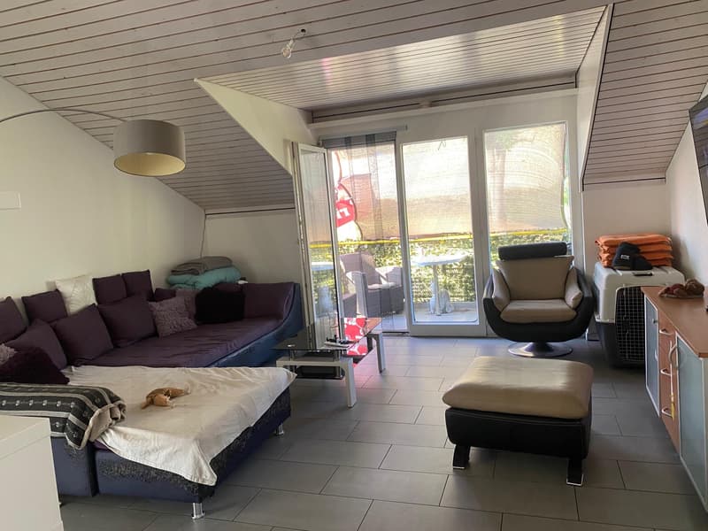 Appartement 4,5 pièces au dernier étage (6)