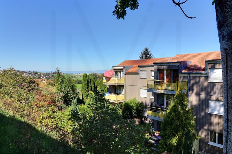 Appartement 4,5 pièces au dernier étage (2)