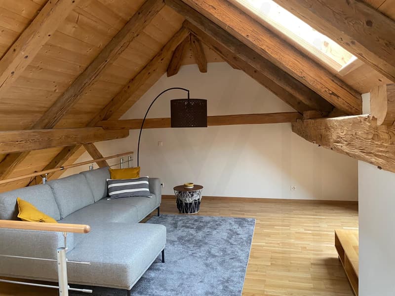 Magnifique duplex 3,5 pièces (9)