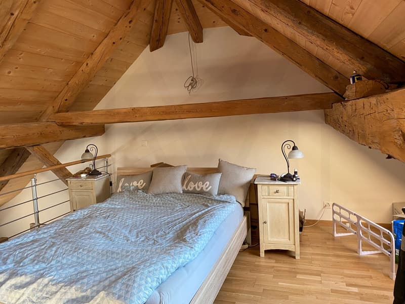 Magnifique duplex 3,5 pièces (8)