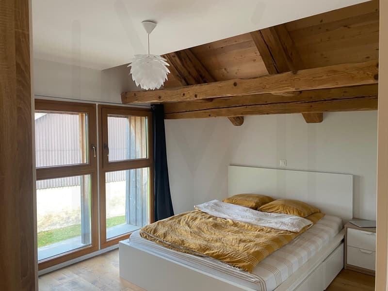 Magnifique duplex 3,5 pièces (4)