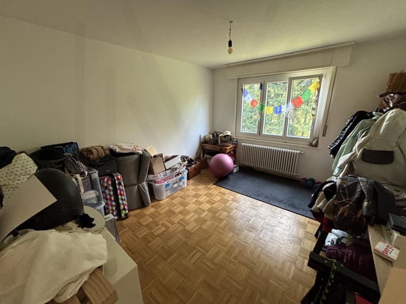 3,5 pièces au 2éme et dernier étage (8)