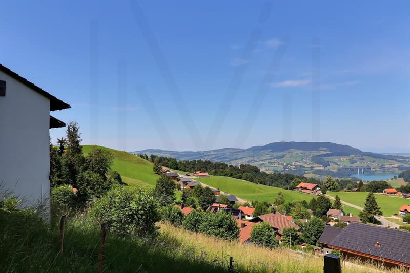 Chalet authentique avec vue imprenable sur le Lac de la Gruyère (3)