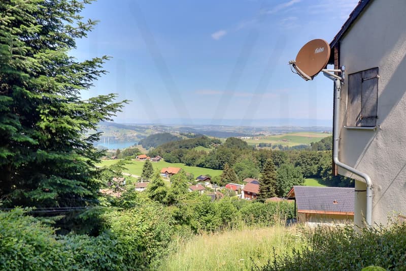 Chalet authentique avec vue imprenable sur le Lac de la Gruyère (5)