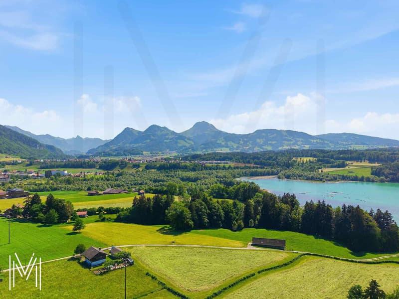 Promotion de 3 villas contiguës ? Entre lac et montagnes, un cadre de vie d'exception (11)