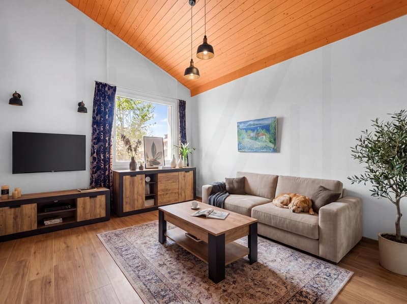 Grande maison d'architecte modulable, conçue pour une ou deux habitations indépendantes. (13)