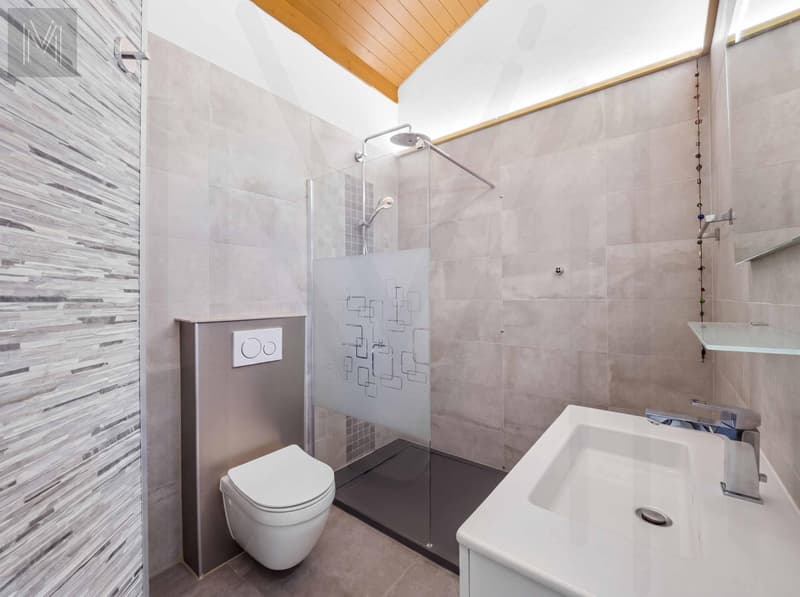 Grande maison d'architecte modulable, conçue pour une ou deux habitations indépendantes. (9)