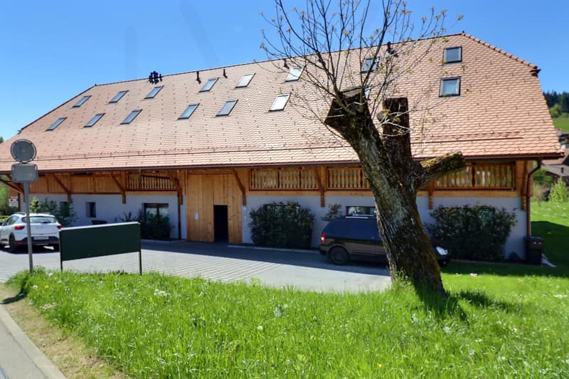 Magnifique appartement 4,5 pièces au 1er étage (4)