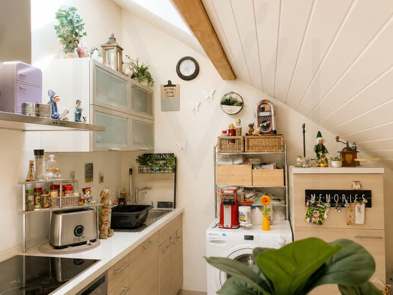 Appartement 2,5 pièces sous les combles (2)