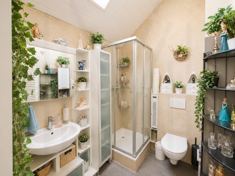 Appartement 2,5 pièces sous les combles (4)