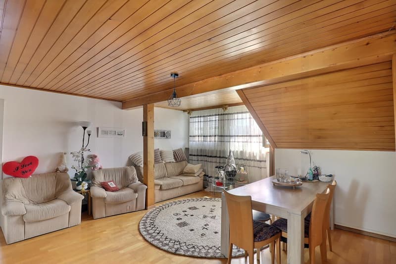 Appartement 3,5 pièces au dernier étage (2)