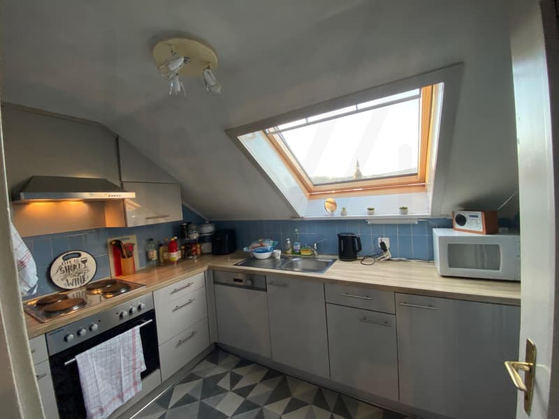 Appartement 3,5 pièces au dernier étage (4)