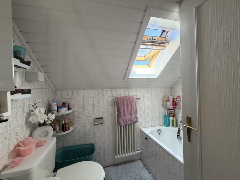 Appartement 3,5 pièces au dernier étage (5)