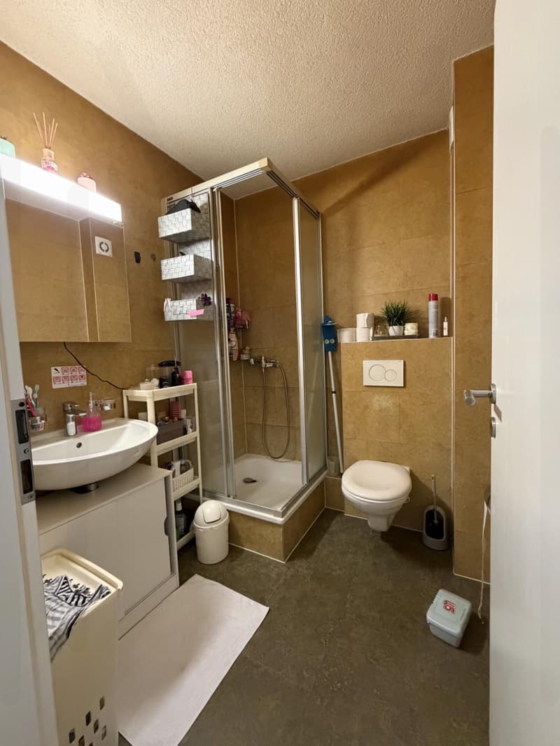 Appartement 3,5 pièces au 1er étage (7)