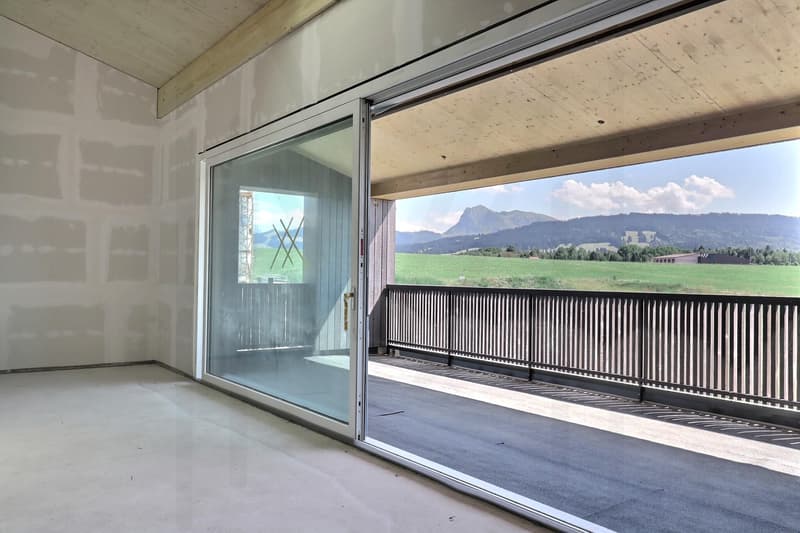 DERNIERS LOTS - votre future maison contemporaine 5,5 pièces en Gruyère (10)