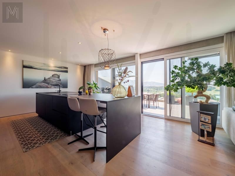 Appartement en terrasse d'exception ? Une alliance parfaite entre élégance, panorama et qualité de vie (5)