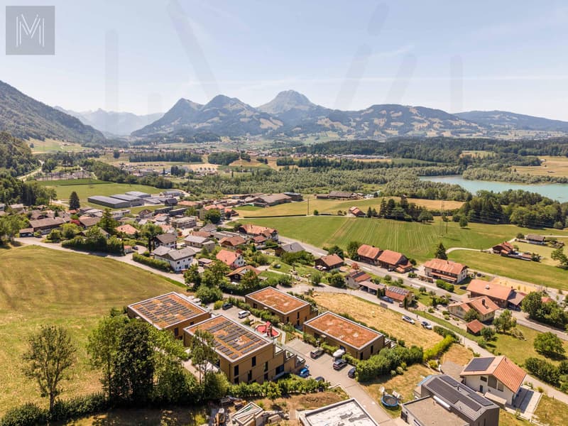 Appartement en terrasse d'exception ? Une alliance parfaite entre élégance, panorama et qualité de vie (7)