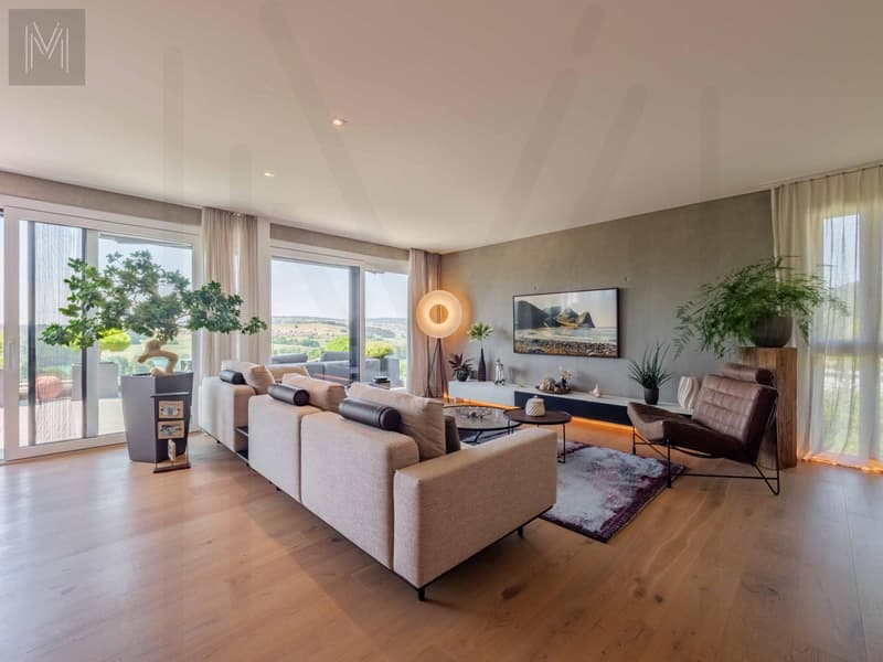 Appartement en terrasse d'exception ? Une alliance parfaite entre élégance, panorama et qualité de vie (2)