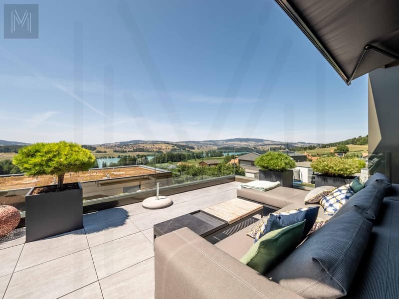 Appartement en terrasse d'exception ? Une alliance parfaite entre élégance, panorama et qualité de vie (8)