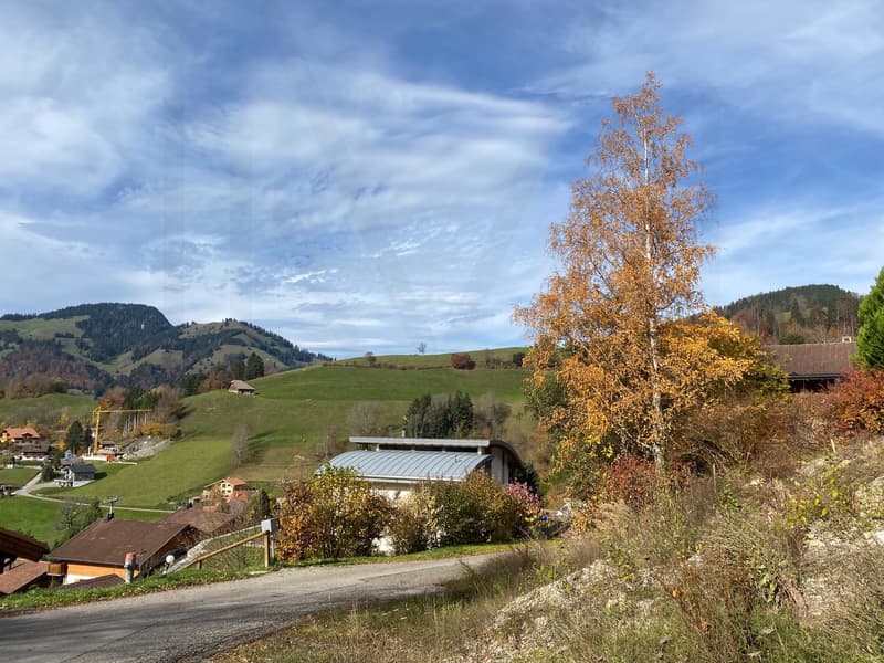 Terrain avec permis en force pour une villa/chalet individuel (2)