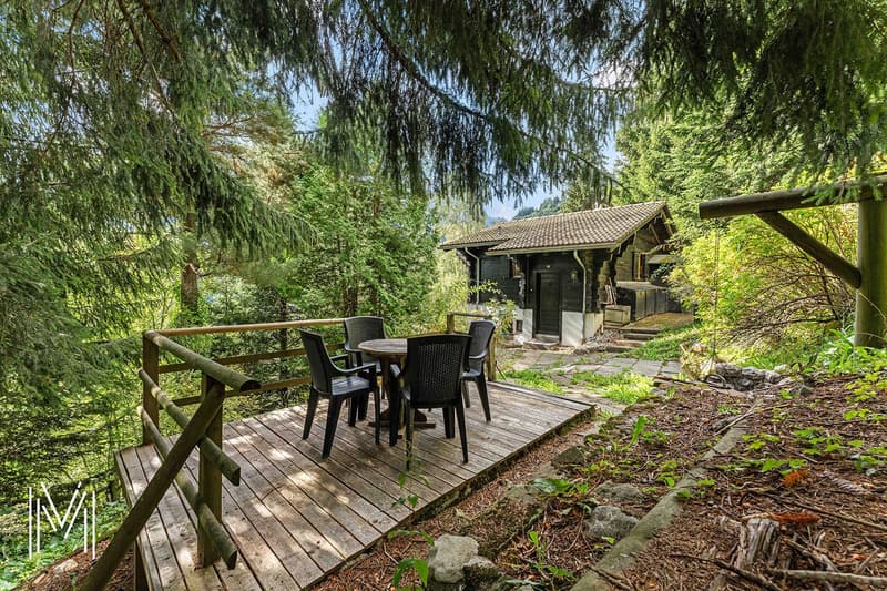 Un havre de paix au pied du Moléson ? Chalet 4.5 pièces au coeur de la nature (6)