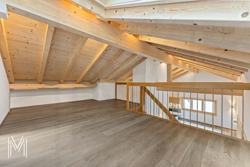 Superbe duplex dans une résidence de 2 logements (10)