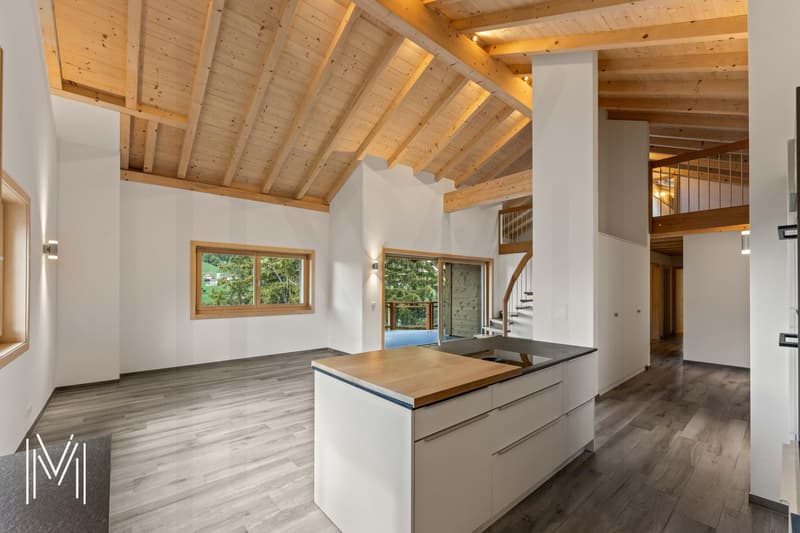 Superbe duplex dans une résidence de 2 logements (1)
