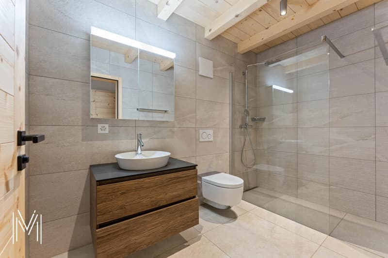 Superbe duplex dans une résidence de 2 logements (12)